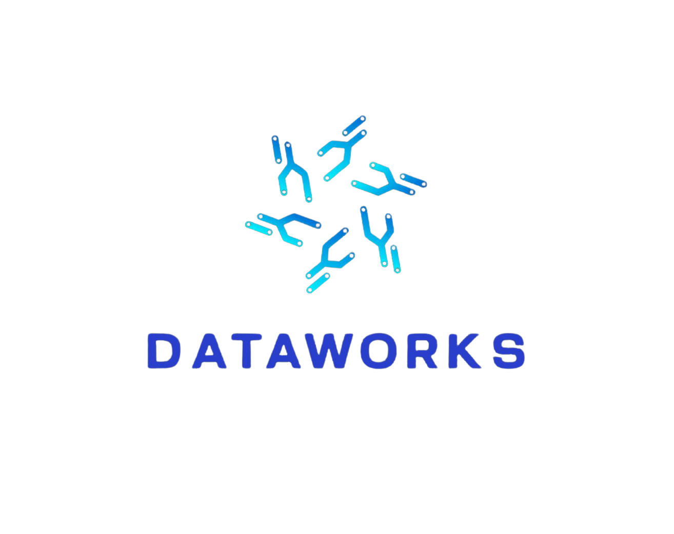 Dataworks